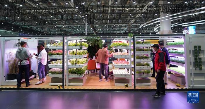 進博會上看“集裝箱里種菜” 科技賦能農業新變革