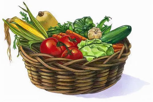 節前走訪菜市場 貨源充足價格穩，新春苗木添綠意